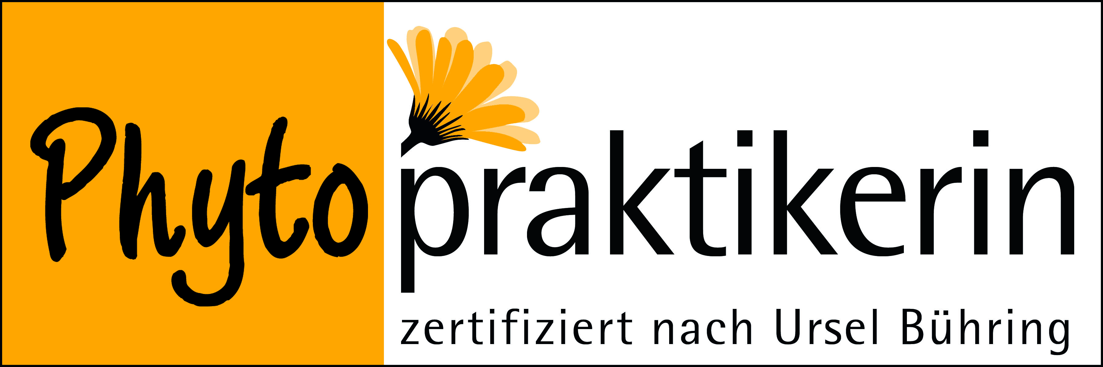 Phytopraktikerin Zertifikat